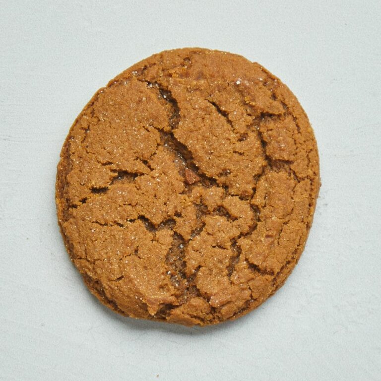 molasses cookie