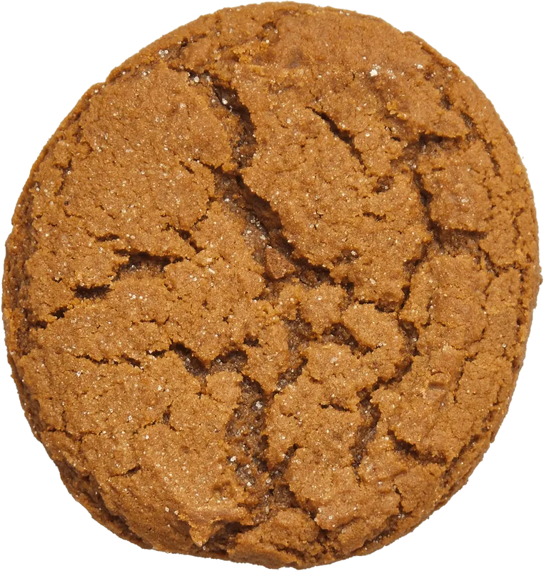 molasses cookie cutout